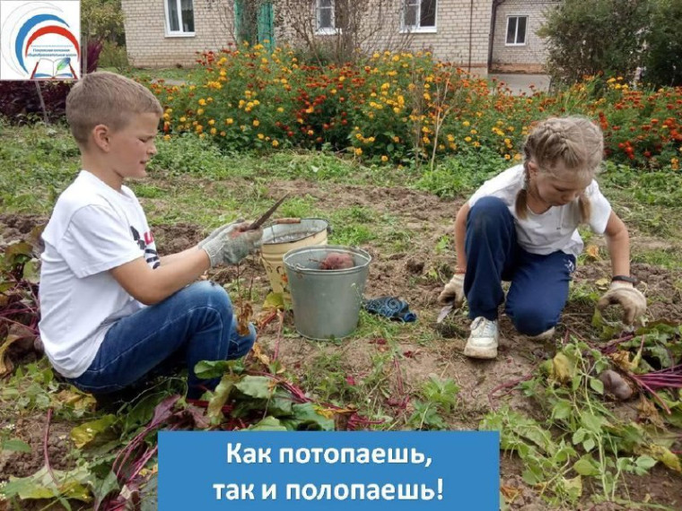 Что потопаешь, то и полопаешь!.