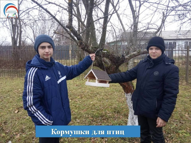 Акция "Покорми птиц".