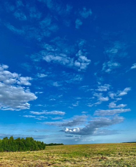 Конкурс юных фотолюбителей «Юность России»..