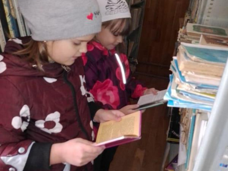 Дошкольники посетили сельскую библиотеку.